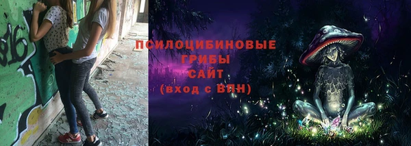 сатива Алексеевка
