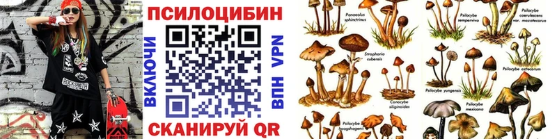 Галлюциногенные грибы Psilocybine cubensis  KRAKEN ССЫЛКА  Красноармейск 